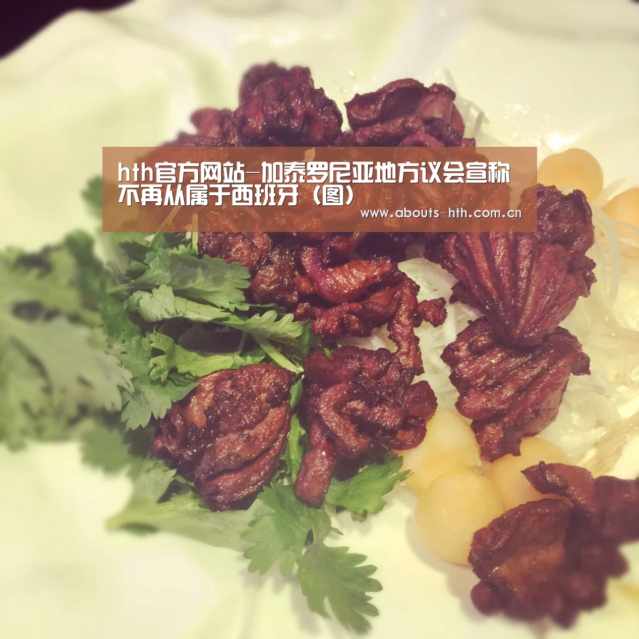 hth官方网站