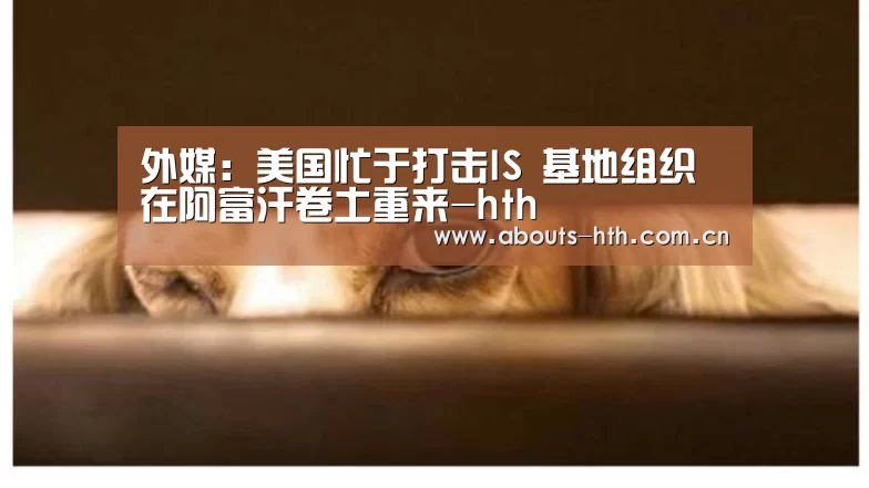 hth手机版登录