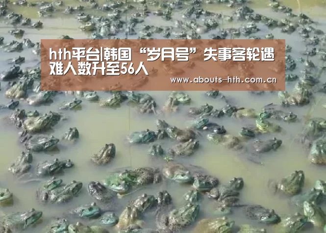hth官方网站