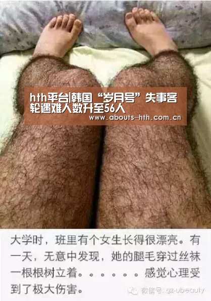 hthapp下载